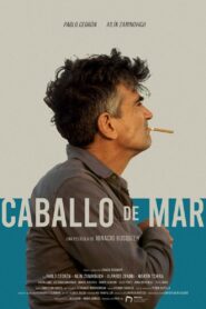 Caballo de mar 2020 one on netflix
