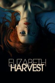 Elizabeth Harvest 2018 one on netflix