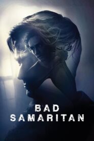 Bad Samaritan 2018 one on netflix