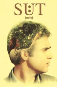 Milk 2008 one on netflix