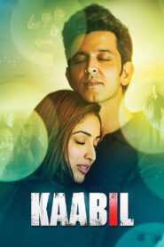 Kaabil 2017 one on netflix