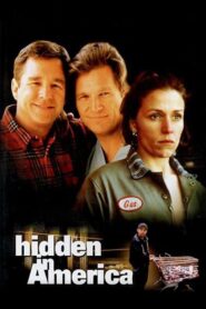 Hidden in America 1996 one on netflix