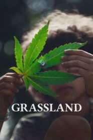 Grassland 2024 one on netflix