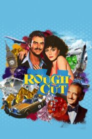 Rough Cut 1980 one on netflix