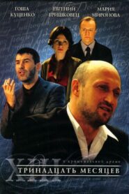 Thirteen Months 2008 one on netflix