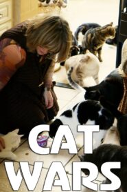 Cat Wars 2014 one on netflix