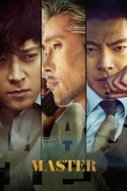 Master 2016 one on netflix