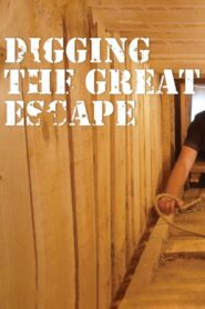 Digging The Great Escape 2011 one on netflix