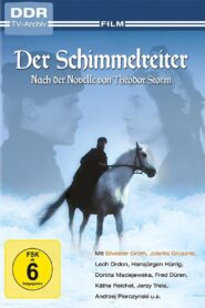 Der Schimmelreiter 1985 one on netflix