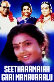 Seetharamaiah Gari Manavaralu 1991 one on netflix