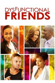 Dysfunctional Friends 2012 one on netflix