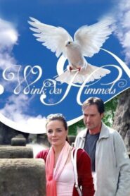 Wink des Himmels 2005 one on netflix