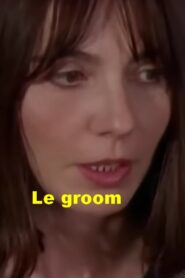 Le Groom 1995 one on netflix