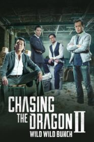 Chasing the Dragon II: Wild Wild Bunch 2019 one on netflix