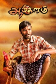 Aadukalam 2011 one on netflix
