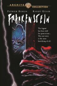 Frankenstein 1993 one on netflix