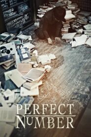 Perfect Number 2012 one on netflix
