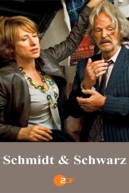 Schmidt & Schwarz 2012 one on netflix