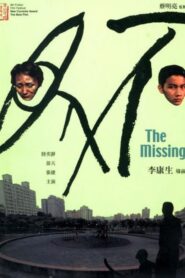 The Missing 2003 one on netflix
