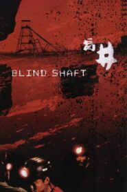 Blind Shaft 2003 one on netflix