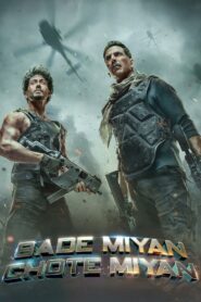 Bade Miyan Chote Miyan 2024 one on netflix