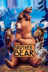 Brother Bear 2003 one on netflix