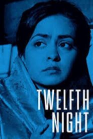 Twelfth Night, or What You Will 2003 one on netflix