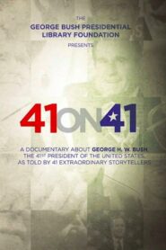 41 on 41 2015 one on netflix