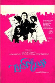 Evening Class 1980 one on netflix