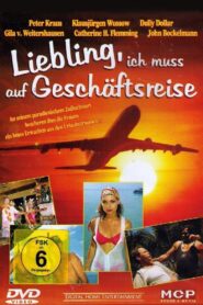 Liebling, ich muß auf Geschäftsreise 1995 one on netflix