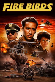 Fire Birds 1990 one on netflix