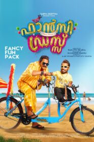 Fancy Dress 2019 one on netflix