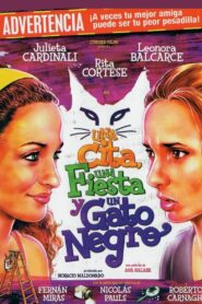 Una cita, una fiesta y un gato negro 2012 one on netflix
