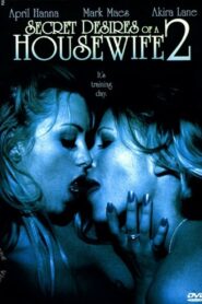 Secret Desires of a Housewife 2 2005 one on netflix