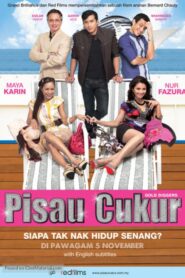 Gold Diggers 2009 one on netflix