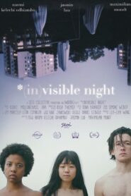 *(In)Visible Night 2023 one on netflix
