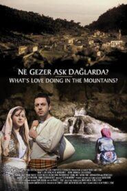 Ne Gezer Aşk Dağlarda? 2005 one on netflix