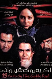 Thirteen Cats on the Hot Gabled Roof 2004 one on netflix