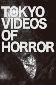 Tokyo Videos of Horror 2012 one on netflix