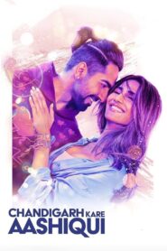 Chandigarh Kare Aashiqui 2021 one on netflix