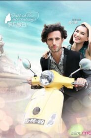 罗马嫁日 2013 one on netflix