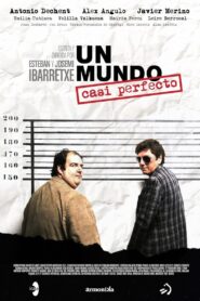 Un mundo casi perfecto 2011 one on netflix