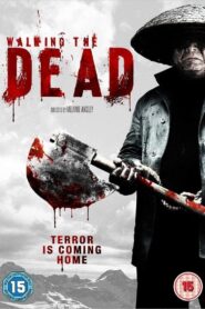 Walking the Dead 2010 one on netflix