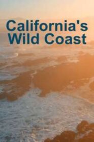 California’s Wild Coast 2021 one on netflix