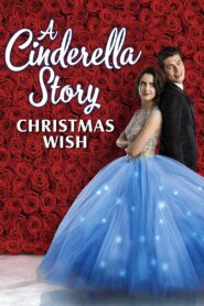 A Cinderella Story: Christmas Wish 2019 one on netflix