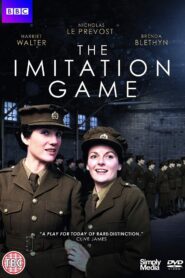 The Imitation Game 1980 one on netflix