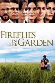 Fireflies in the Garden 2008 one on netflix