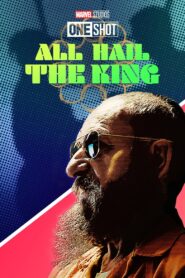 Marvel One-Shot: All Hail the King 2014 one on netflix
