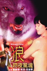 Midnight Caller 1995 one on netflix
