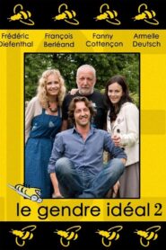 Le Gendre idéal 2 2010 one on netflix